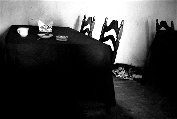 ���������� ***