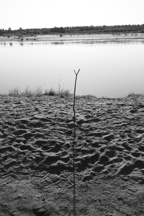 ���������� ����������