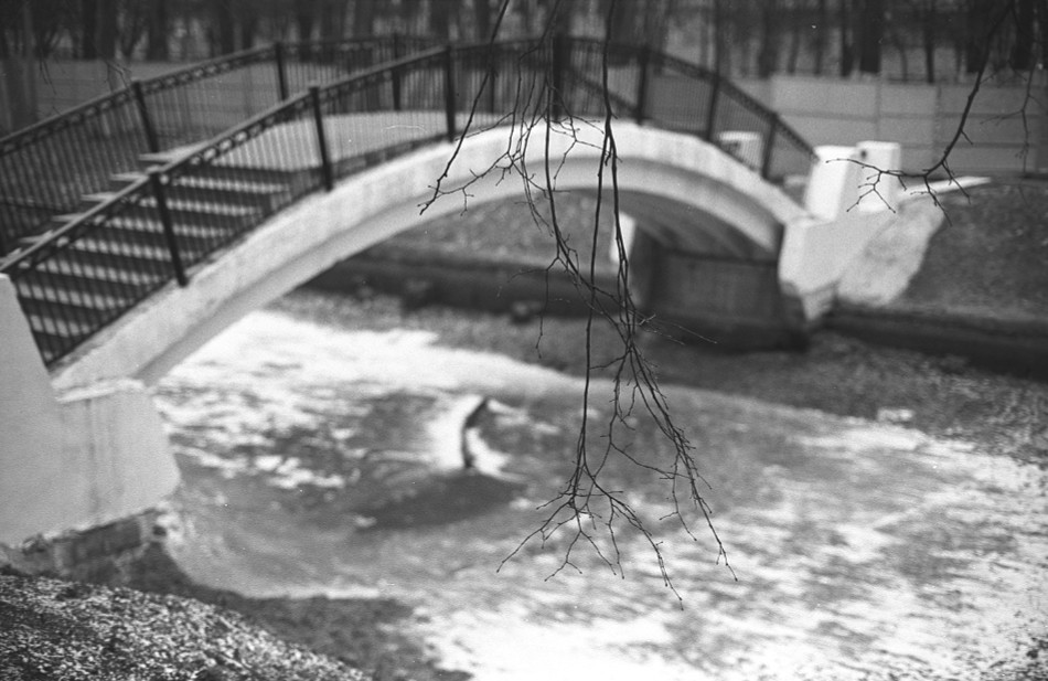 ���������� ***