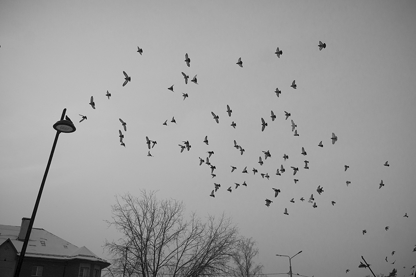 ���������� �����-����� �������