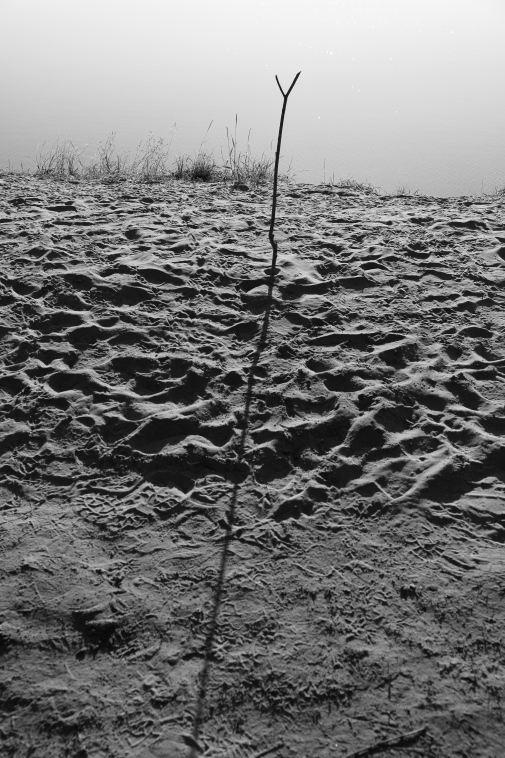 ���������� ����������