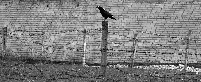 ���������� .