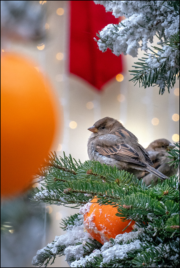 ���������� � ����������� ����� �����!