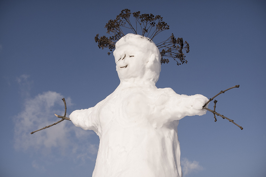 ���������� ***