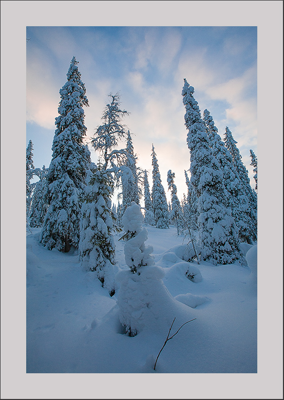 ���������� � ����������� ����� 2026 �����.