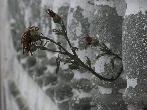 ���������� .