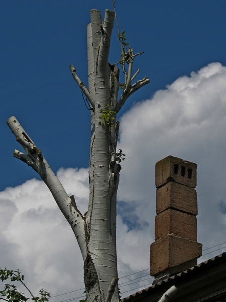 ���������� .