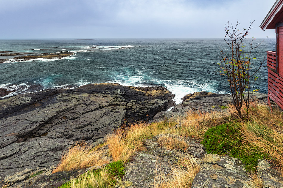 ���������� ***