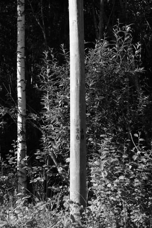 ���������� ����������