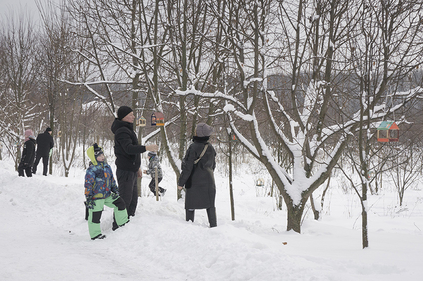 ���������� ������� ��������