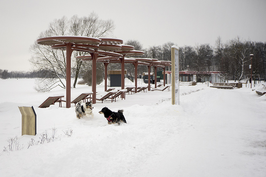 ���������� ������� ��������