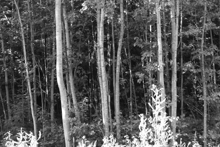 ���������� ����������