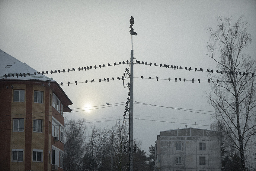 ���������� ***