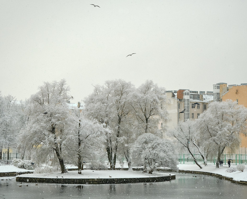 ���������� ���������� ���