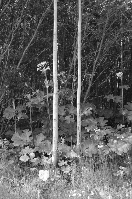 ���������� ����������