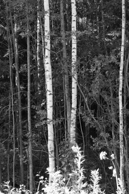 ���������� ����������