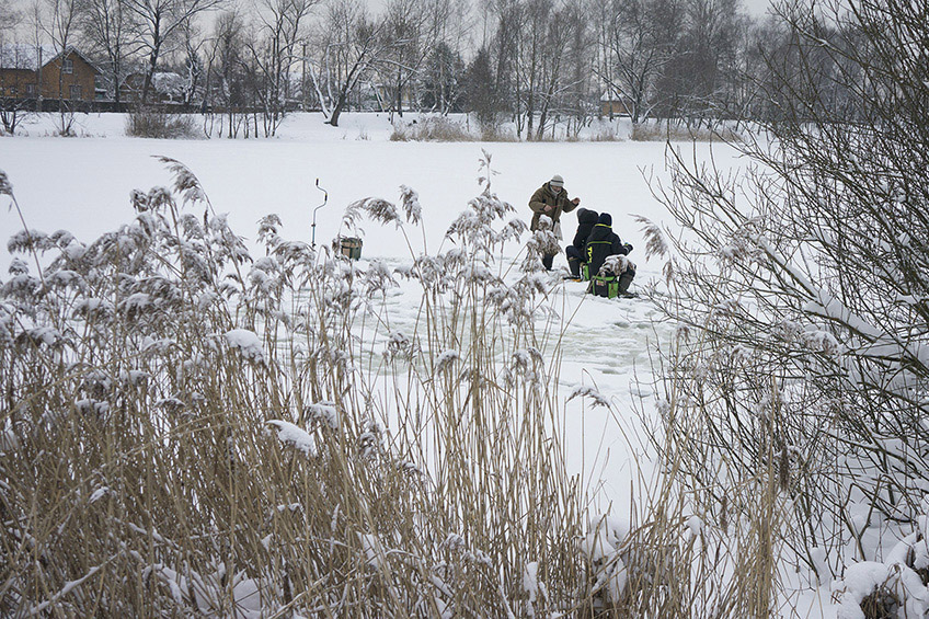 ���������� ***