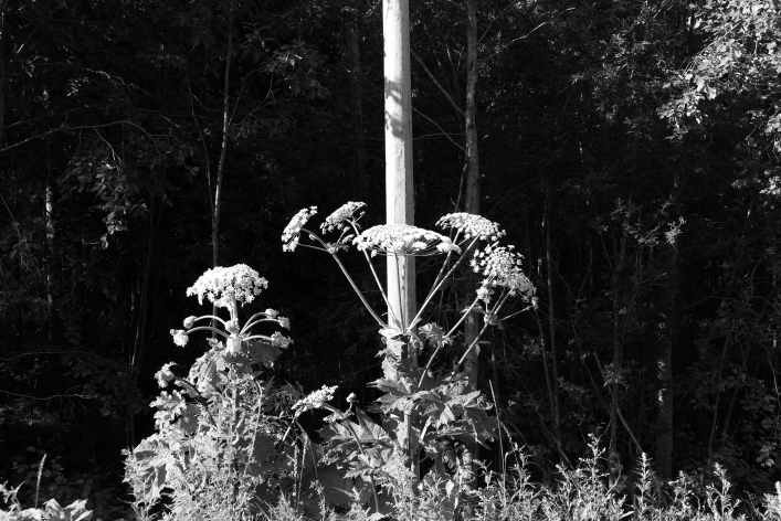 ���������� ����������