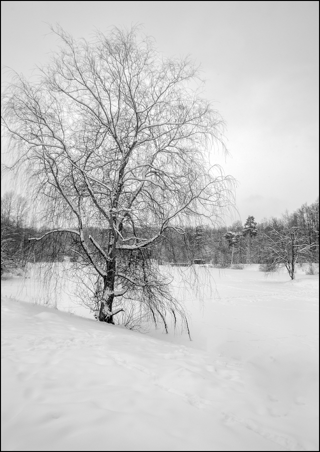 ���������� ����� ����