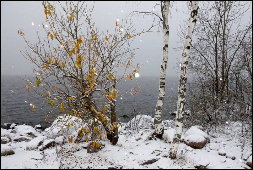 ���������� ������������ �����.