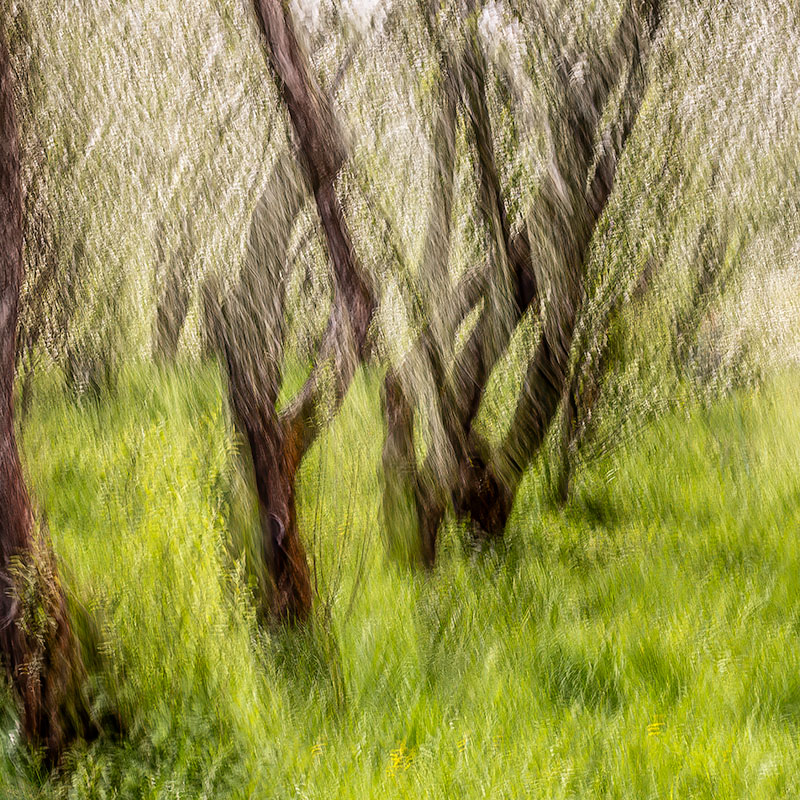 ���������� ***