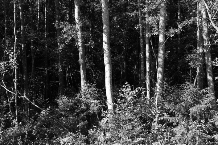 ���������� ����������