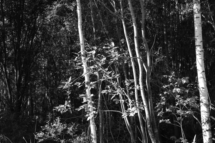 ���������� ����������