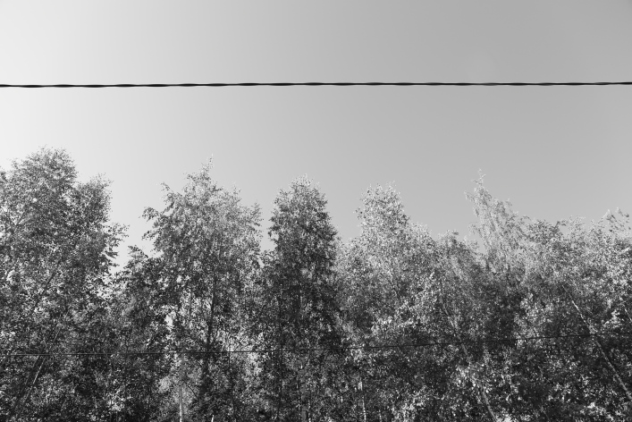 ���������� ����������