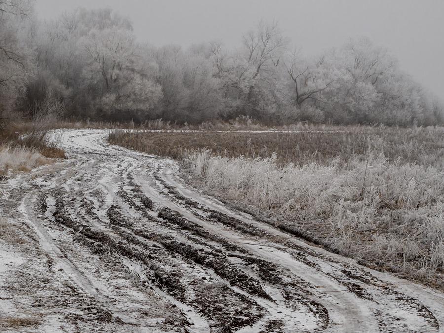 ���������� ***