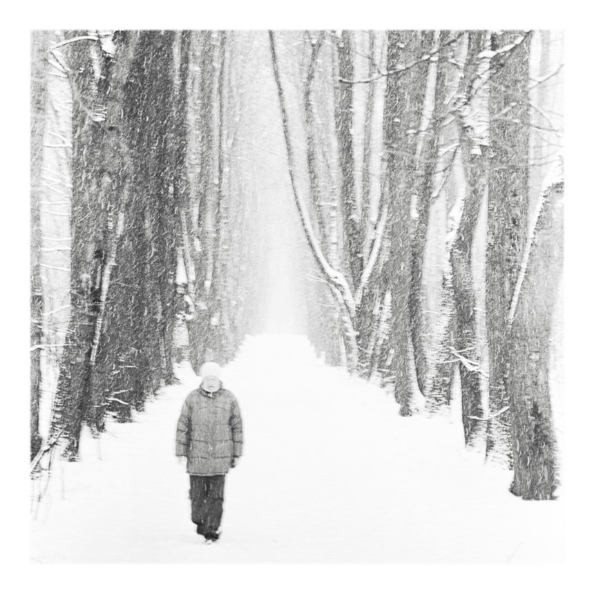 ���������� ***