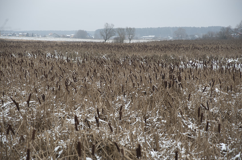 ���������� ***