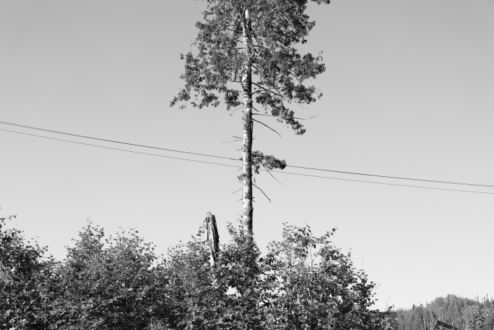 ���������� ����������