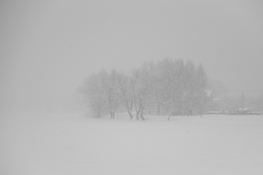 ���������� ��������....