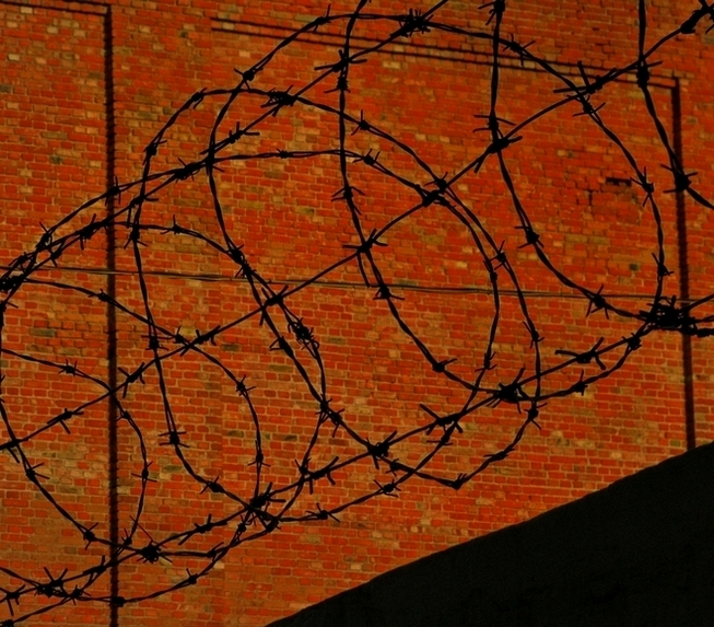 ���������� .