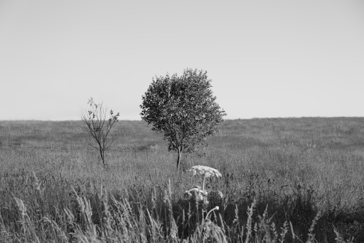 ���������� ����������