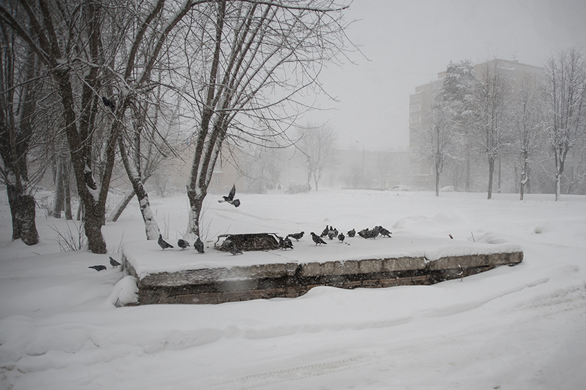 ���������� ������ �������� � ������� 