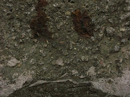 ���������� .