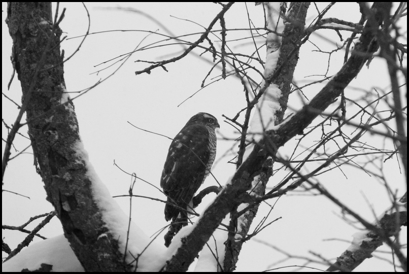 ���������� a va. ��������� ������.