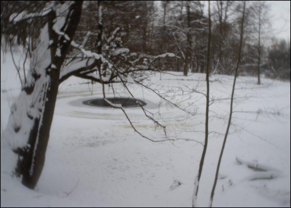 ���������� ������ ����