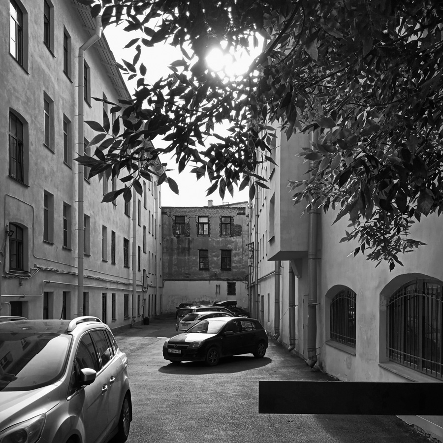 ���������� *