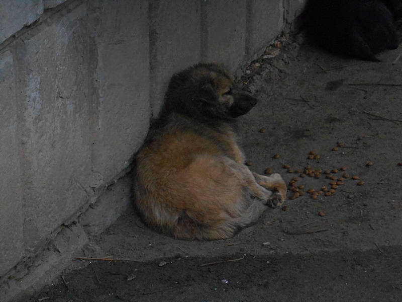 ���������� .