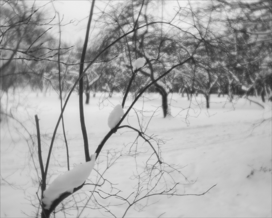 ���������� ��� �ӣ ���������!