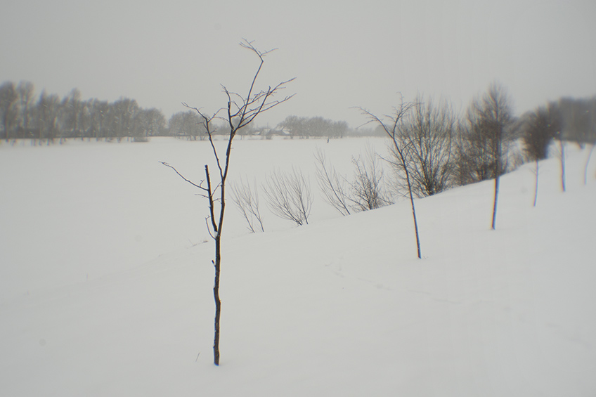 ���������� ***