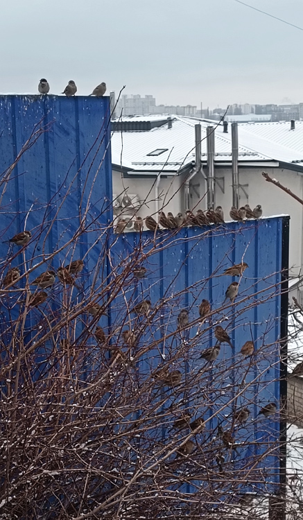 ���������� ��������. ������ 3,2,1