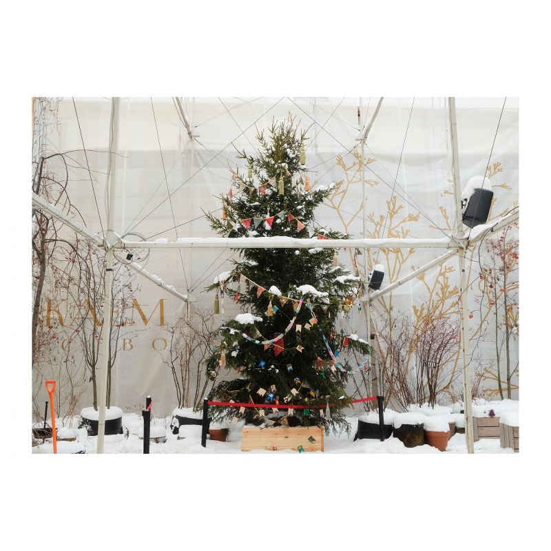 ���������� 1584