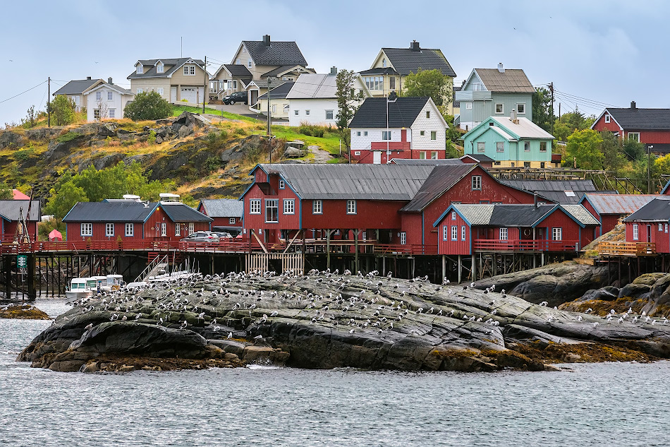 ���������� ***