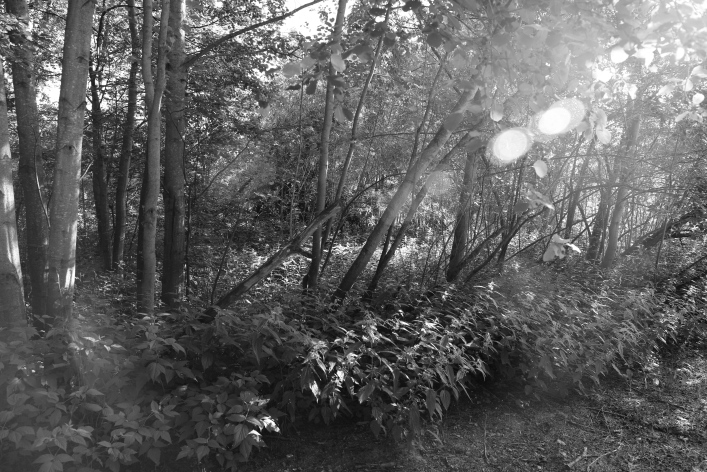 ���������� ����������