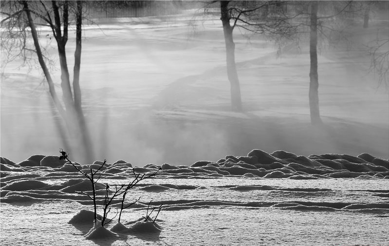 ���������� ***