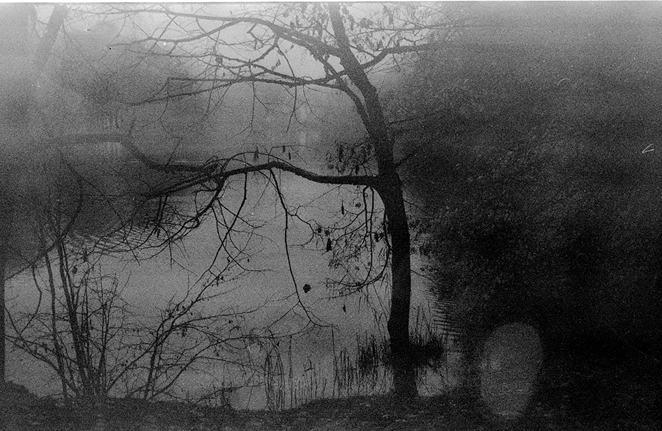 ���������� ***