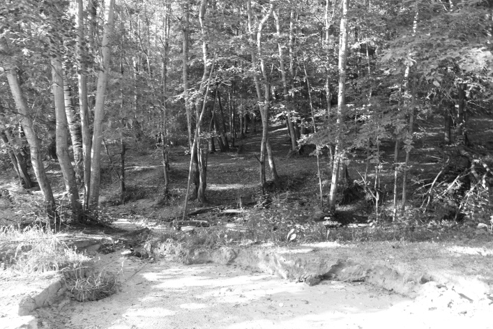 ���������� ����������